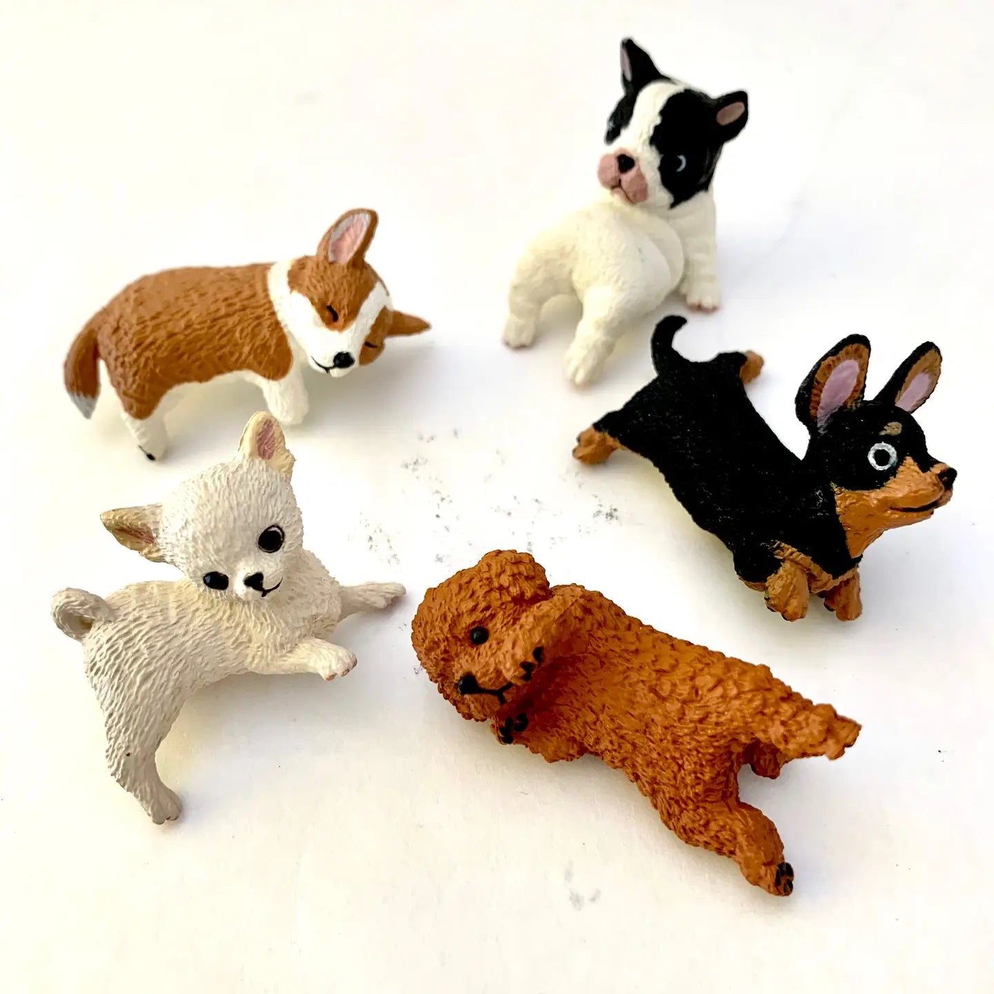 Ledge Lounging Dog Figurines Blind Boxes