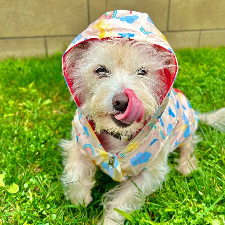 Rain or Shine Reversible Dog Raincoat