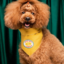 Load image into Gallery viewer, Dog Merit Badges
