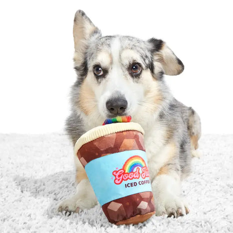 Cheeky Squeaky Dog Toys