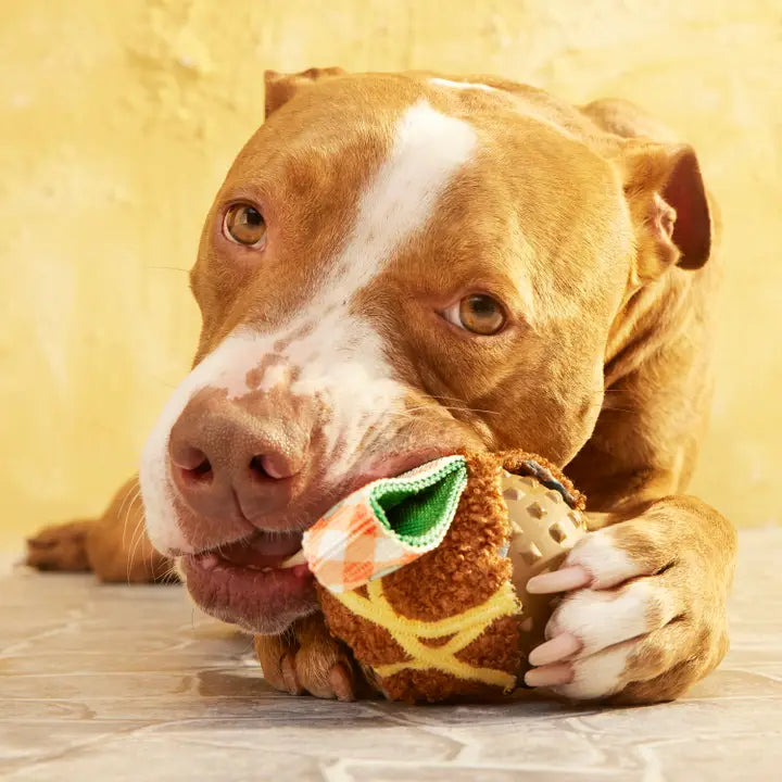 Cheeky Squeaky Dog Toys
