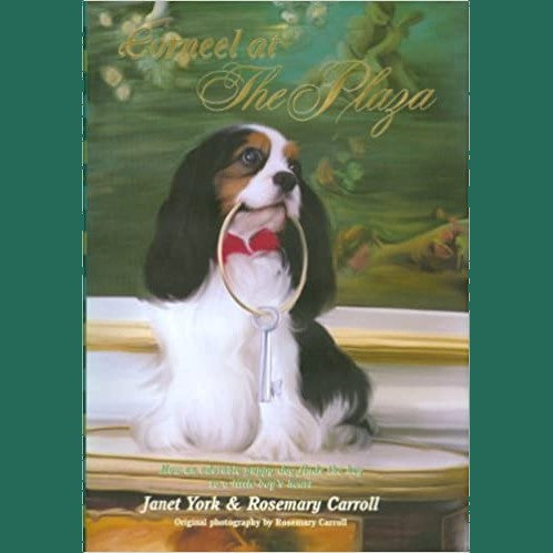 SIGNED - Corneel at the Plaza by Janet York & Rosemary Carroll