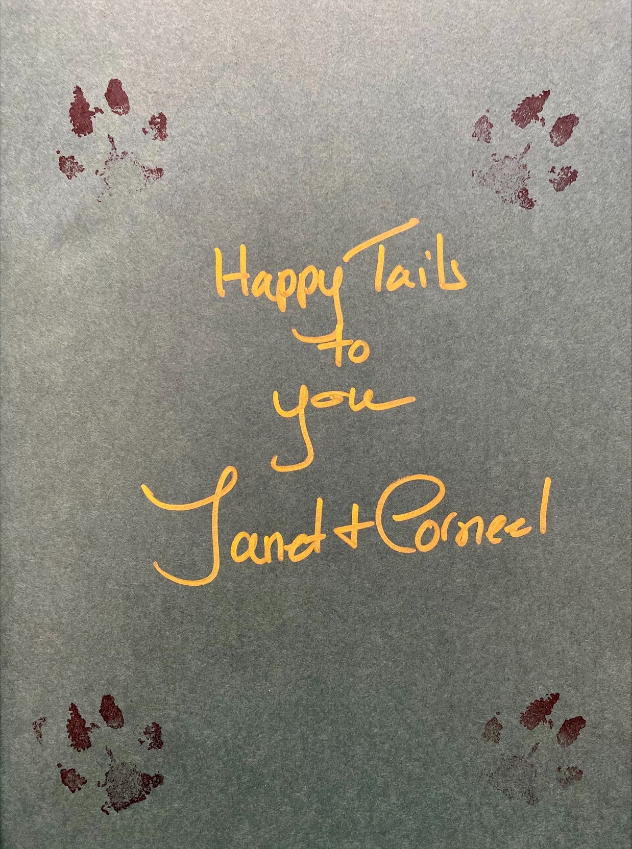 SIGNED - Corneel at the Plaza by Janet York & Rosemary Carroll