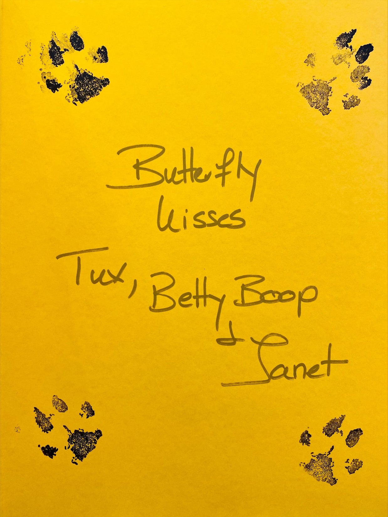 SIGNED - Over the Hill to Piccadillyville by Janet York