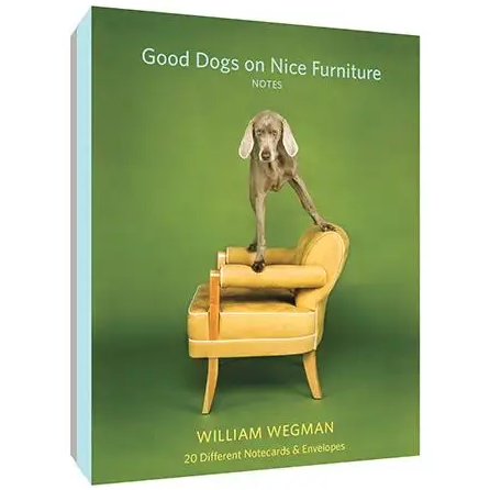 Good Dogs on Nice Furniture Note Card Boxed Set
