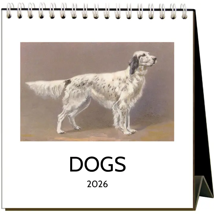 Dogs 2026 Desk Calendar