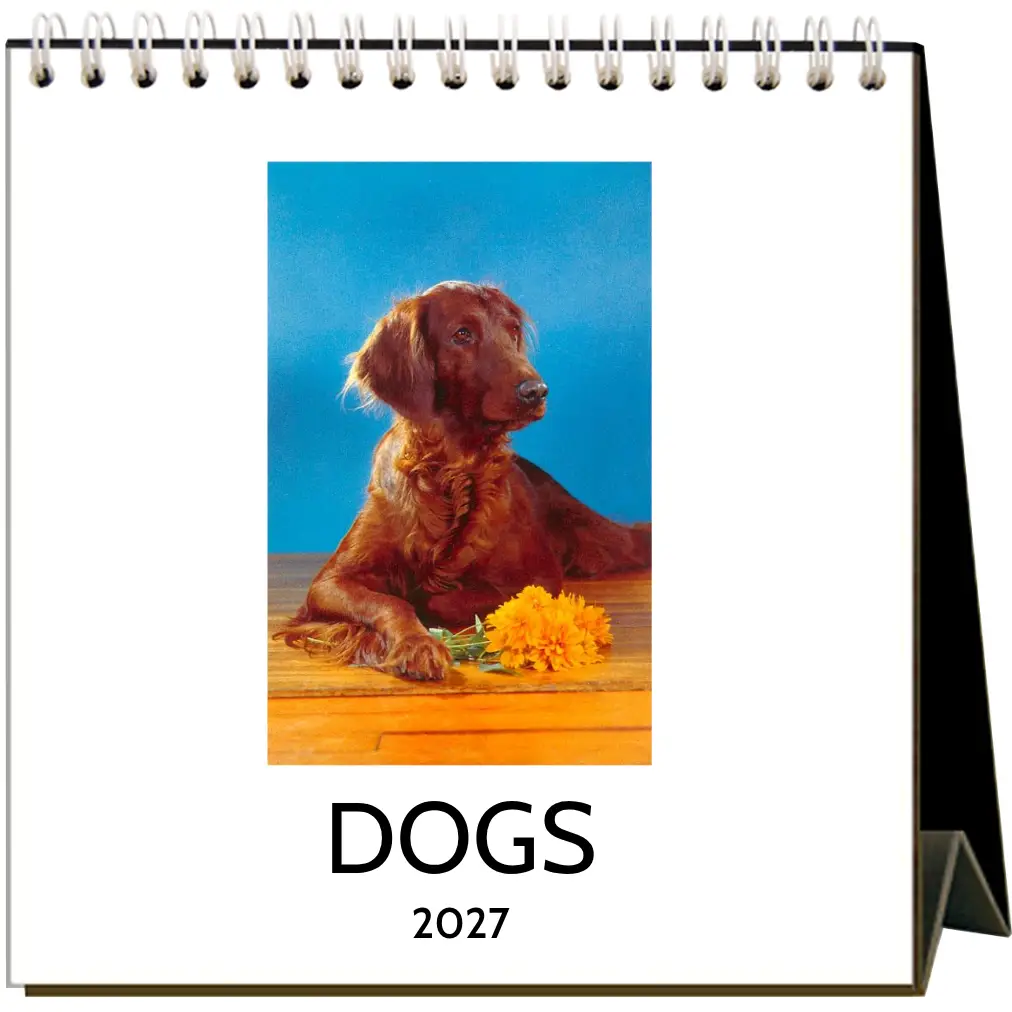 Canine Themed Desk Calendars