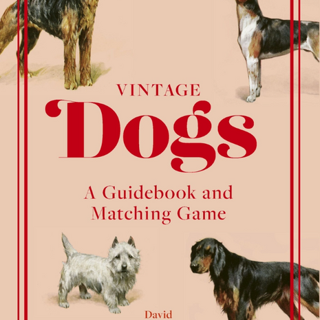 Vintage Dogs - A Guidebook & Matching Game