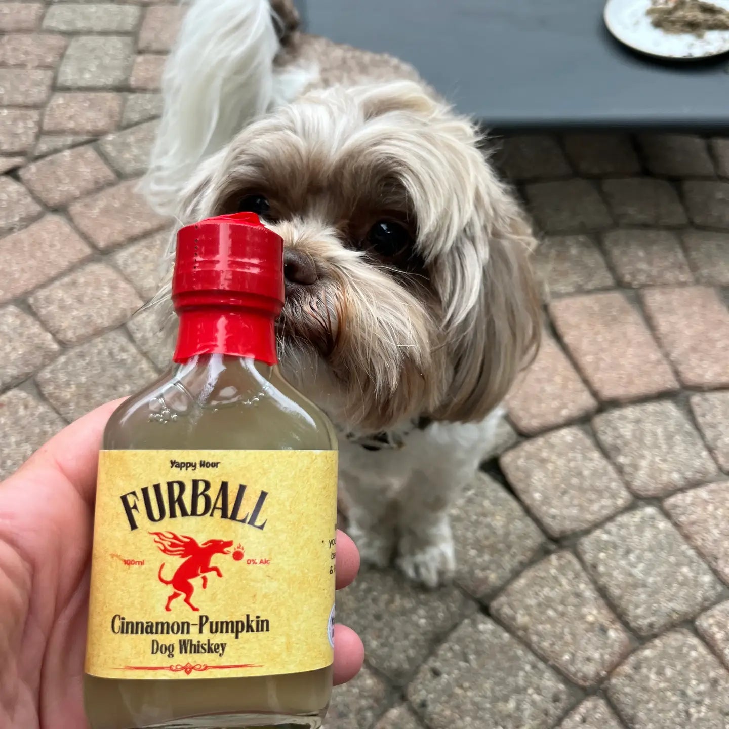 Dog Themed Faux Alcohol
