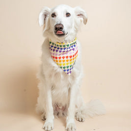 Matching Dog Bandana and Human Hair Accessories