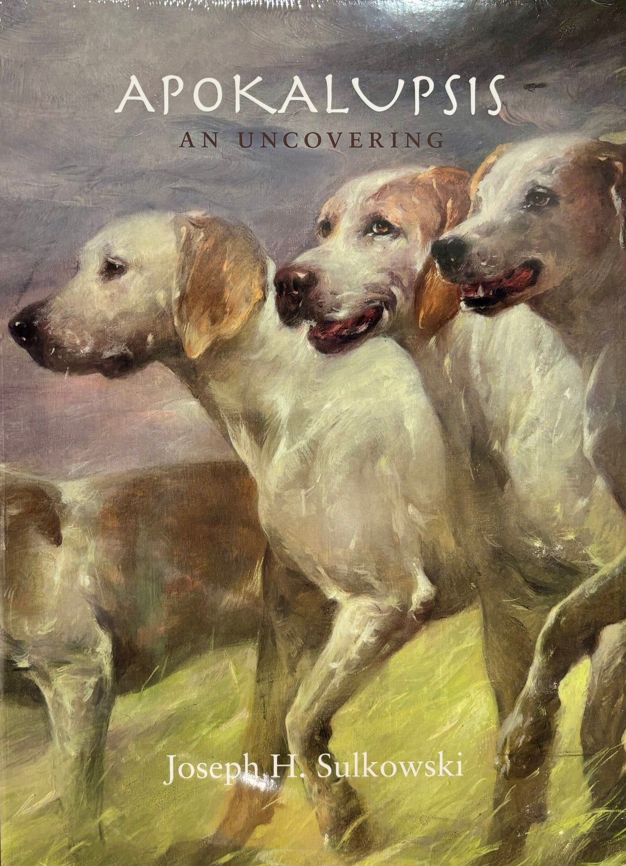 Apokalupsis: An Uncovering Exhibition Catalogue by Joseph H. Sulkowski