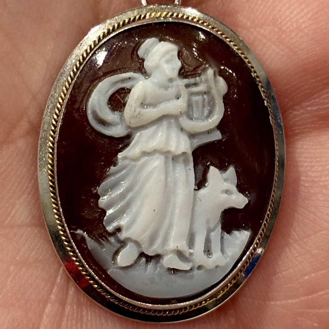 Sardonyx Shell Cameo Jewelry