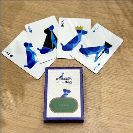 Arty's Fun Deck of Playing Cards