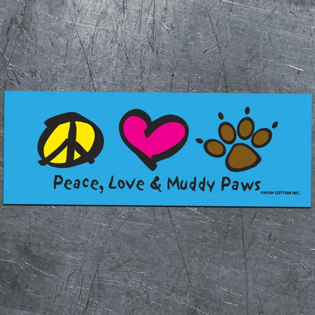Bumper Car Magnets
