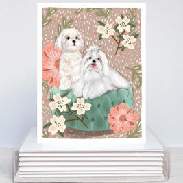 Breed Specific Blank Greeting Cards (10 Packs & Individuals)