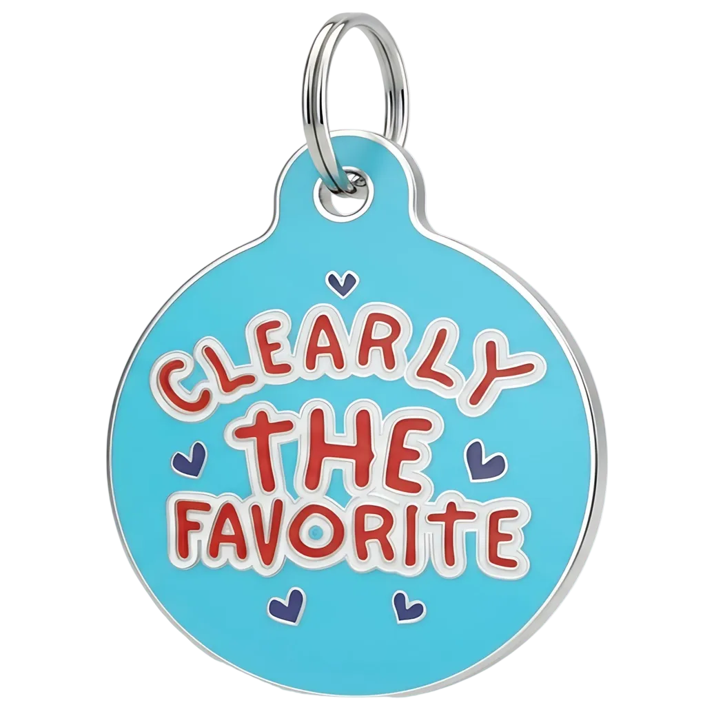 Engraved QR ID Tags