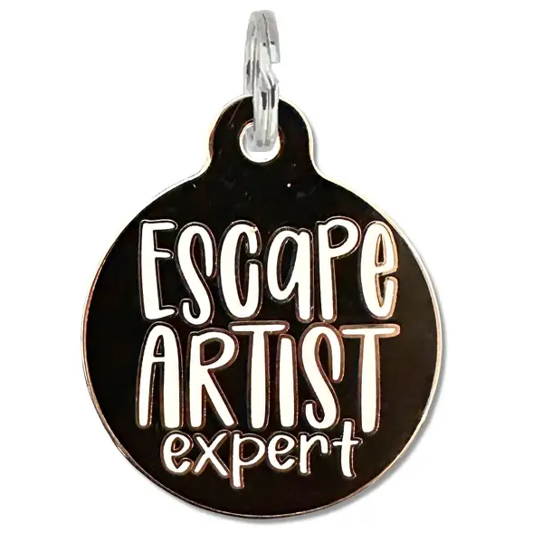 Engraved QR ID Tags