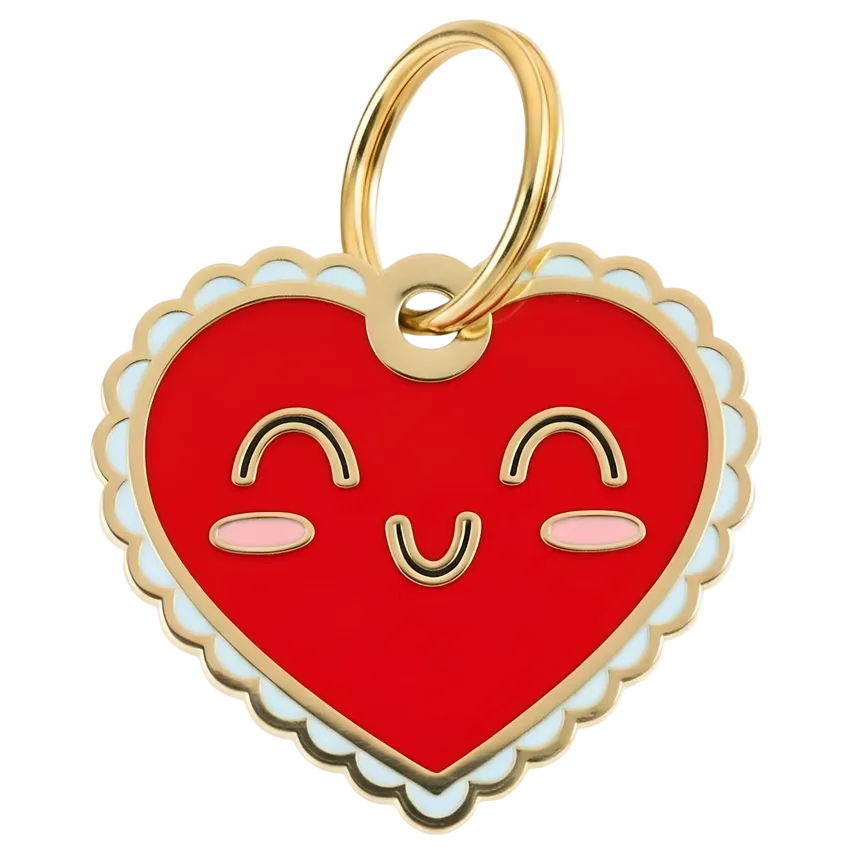 Engraved QR ID Tags