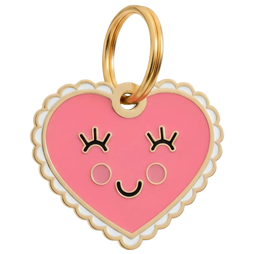 Engraved QR ID Tags
