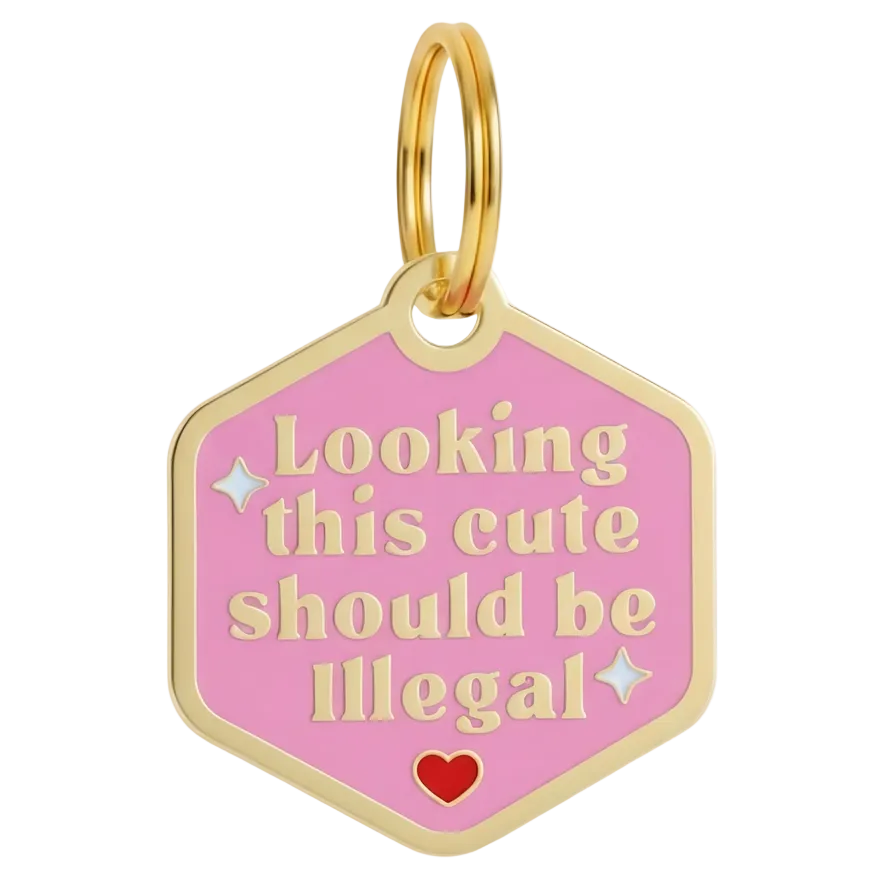 Engraved QR ID Tags