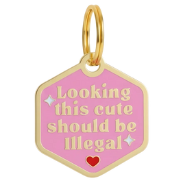 Engraved QR ID Tags