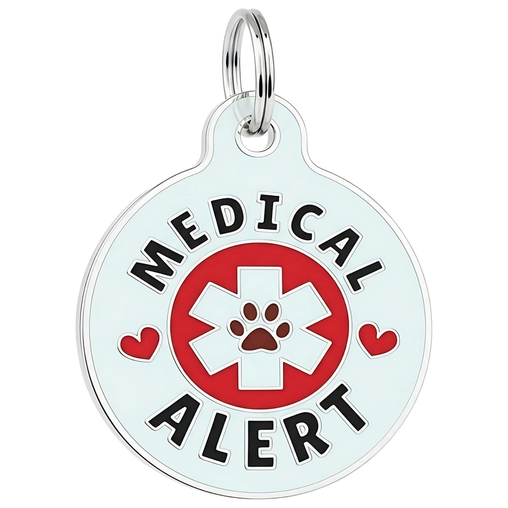 Engraved QR ID Tags