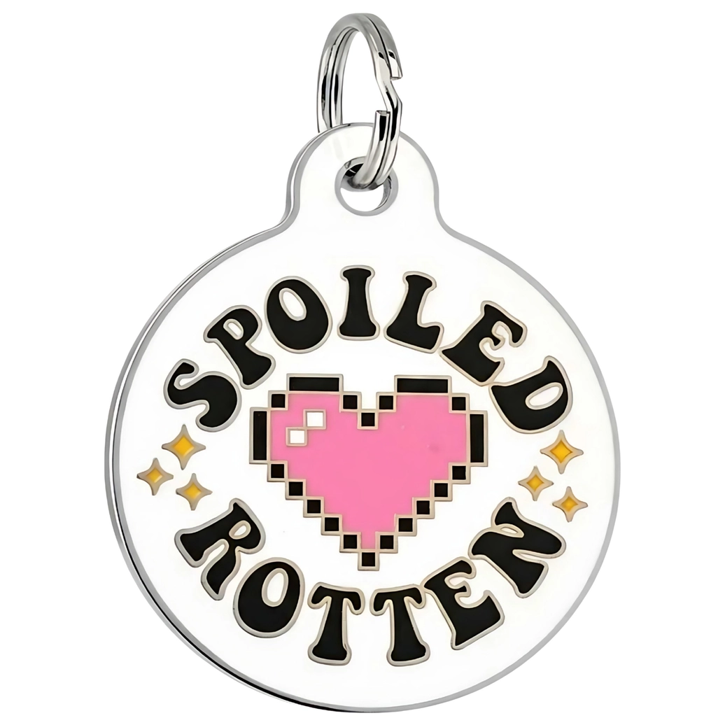 Engraved QR ID Tags