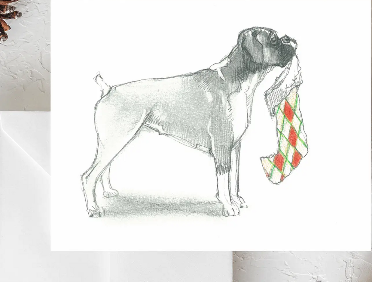 Holiday Greeting Card 10 Packs & Individuals