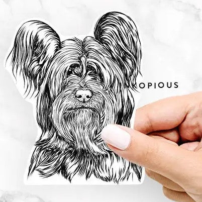 Black & White Decal Stickers