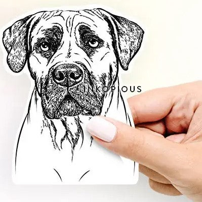 Black & White Decal Stickers