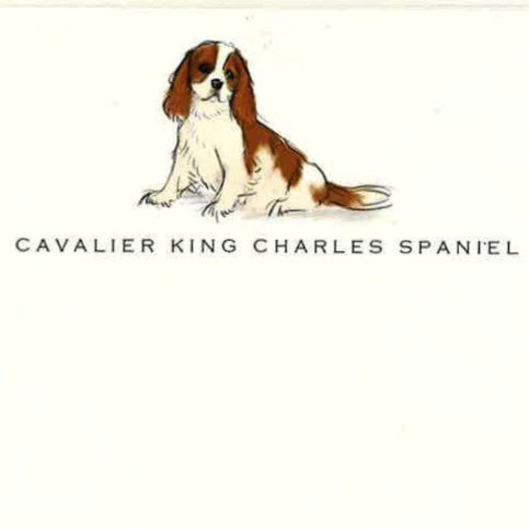 Breed Note Cards - Over 35 Breeds Offered!