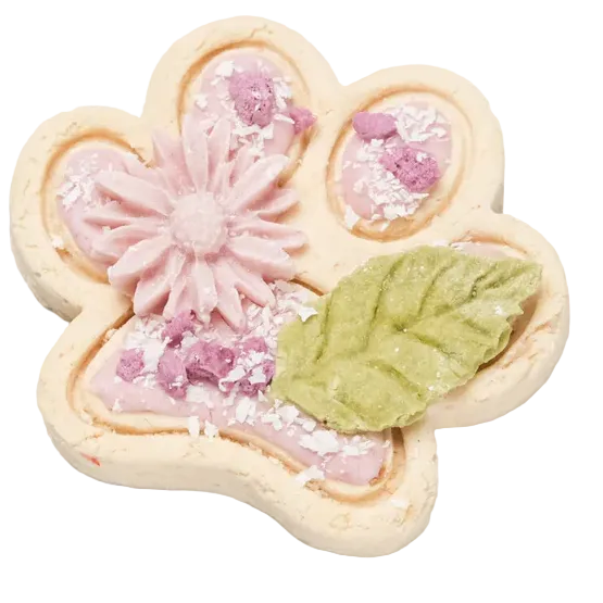 Premium and Innovative Handmade Dog Treats