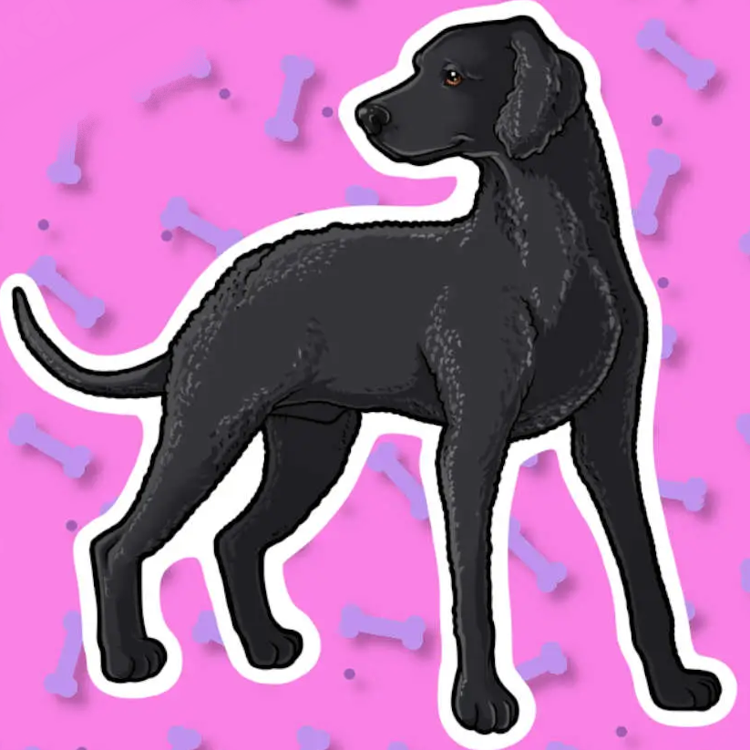 95 Breeds of Kawaii Stickers