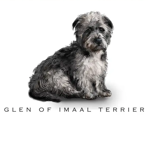 Breed Note Cards - Over 35 Breeds Offered!