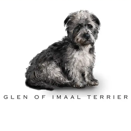 Breed Note Cards - Over 35 Breeds Offered!