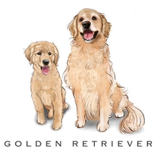 Load image into Gallery viewer, Breed Note Cards - Over 30 Breeds Offered!
