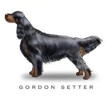 Load image into Gallery viewer, Breed Note Cards - Over 30 Breeds Offered!
