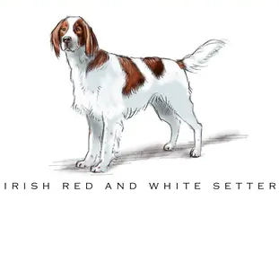 Breed Note Cards - Over 30 Breeds Offered!
