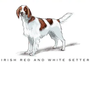 Breed Note Cards - Over 30 Breeds Offered!