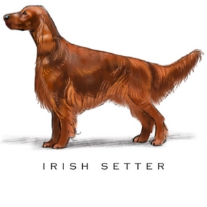 Breed Note Cards - Over 30 Breeds Offered!