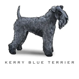 Breed Note Cards - Over 35 Breeds Offered!