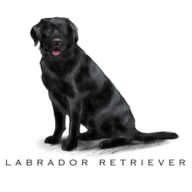 Breed Note Cards - Over 30 Breeds Offered!