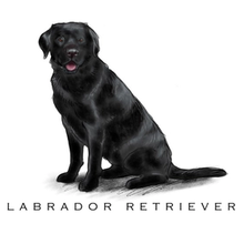Load image into Gallery viewer, Breed Note Cards - Over 30 Breeds Offered!
