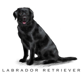 Breed Note Cards - Over 30 Breeds Offered!