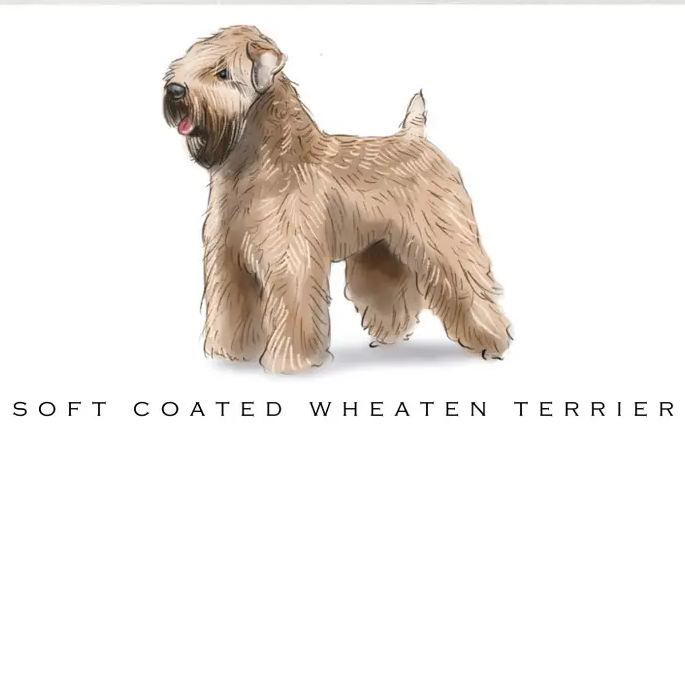Breed Note Cards - Over 35 Breeds Offered!