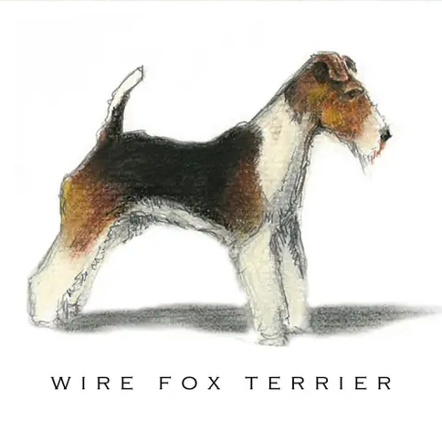 Breed Note Cards - Over 35 Breeds Offered!