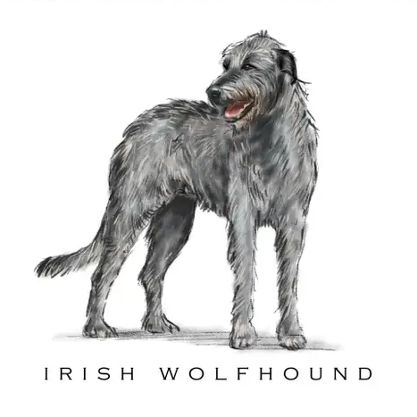 Breed Note Cards - Over 35 Breeds Offered!