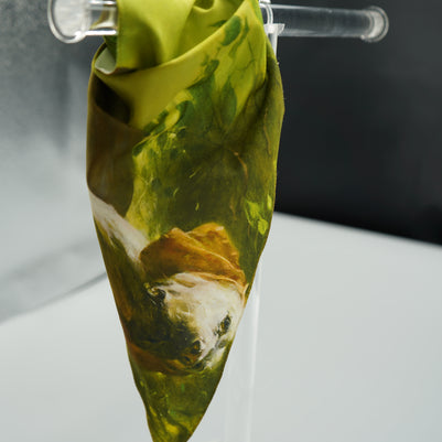 Apokalupsis: An Uncovering by Joseph H. Sulkowski Dog Bandanas