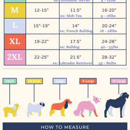 Rain or Shine Reversible Dog Raincoat