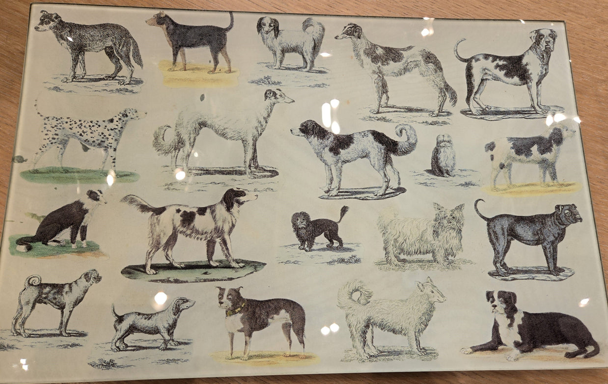 Antique and Vintage Dog Prints on Hand Blown Glass Objects